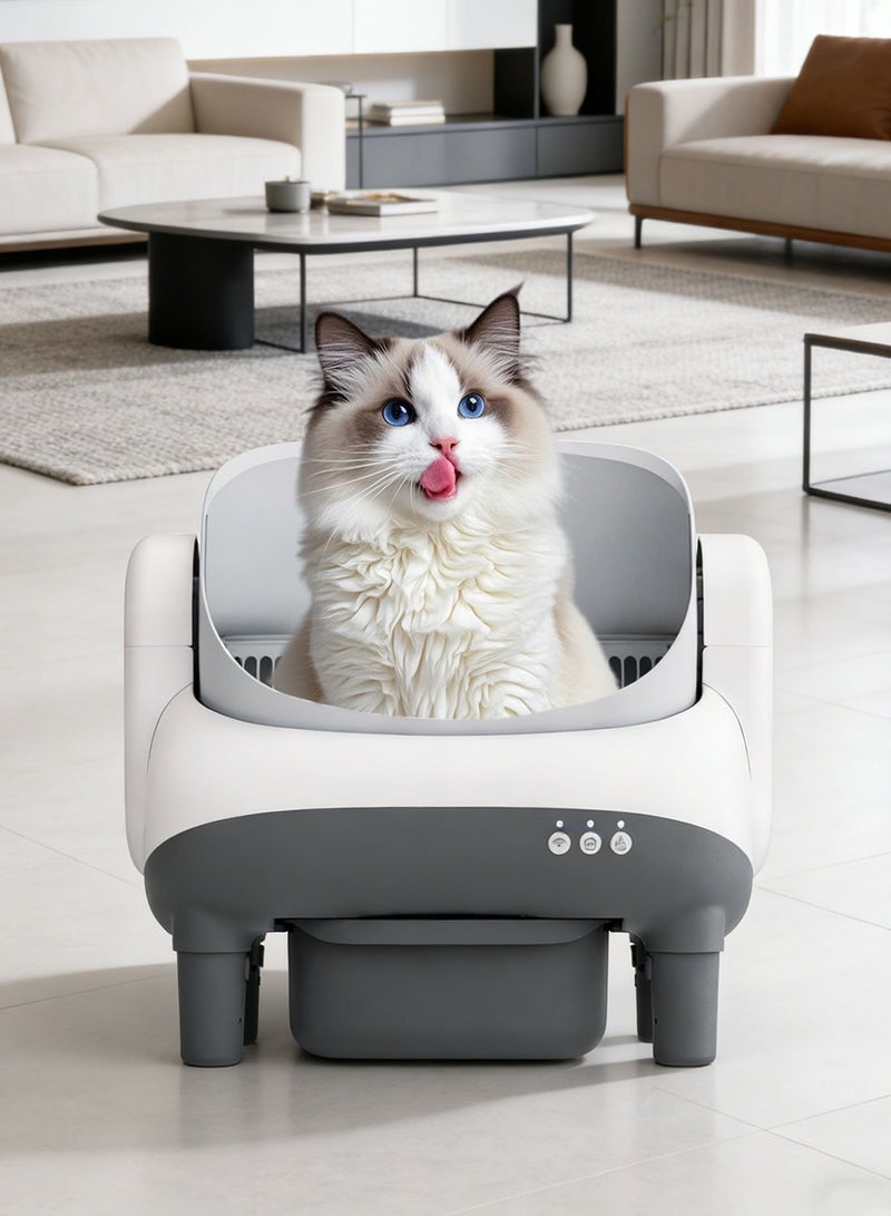 كيدل صندوق فضلات القطط ذاتي التنظيف، تصميم مفتوح من الأعلى، صندوق فضلات أوتوماتيكي مع تحكم عبر التطبيق لعدة قطط، صندوق فضلات للحيوانات الأليفة، صندوق فضلات القطط. - Image 4